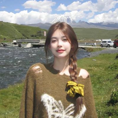 公私三文治粤语