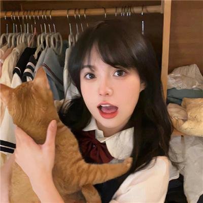 触目惊鲨